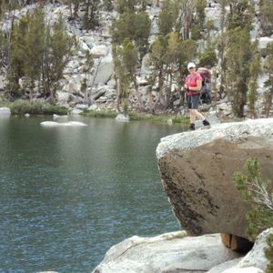 Meet your Posher, Dane